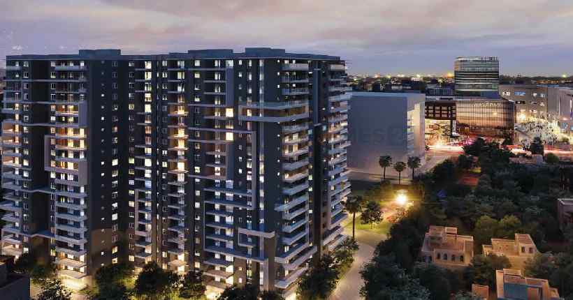 Ozone WF48 Cover Image